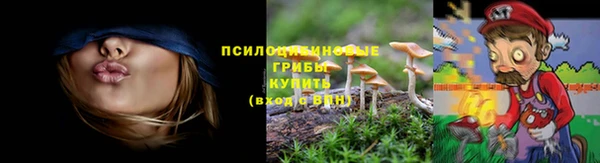 mdma Дмитриев
