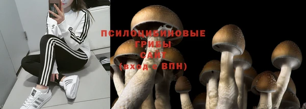 соль курить ск Дмитровск